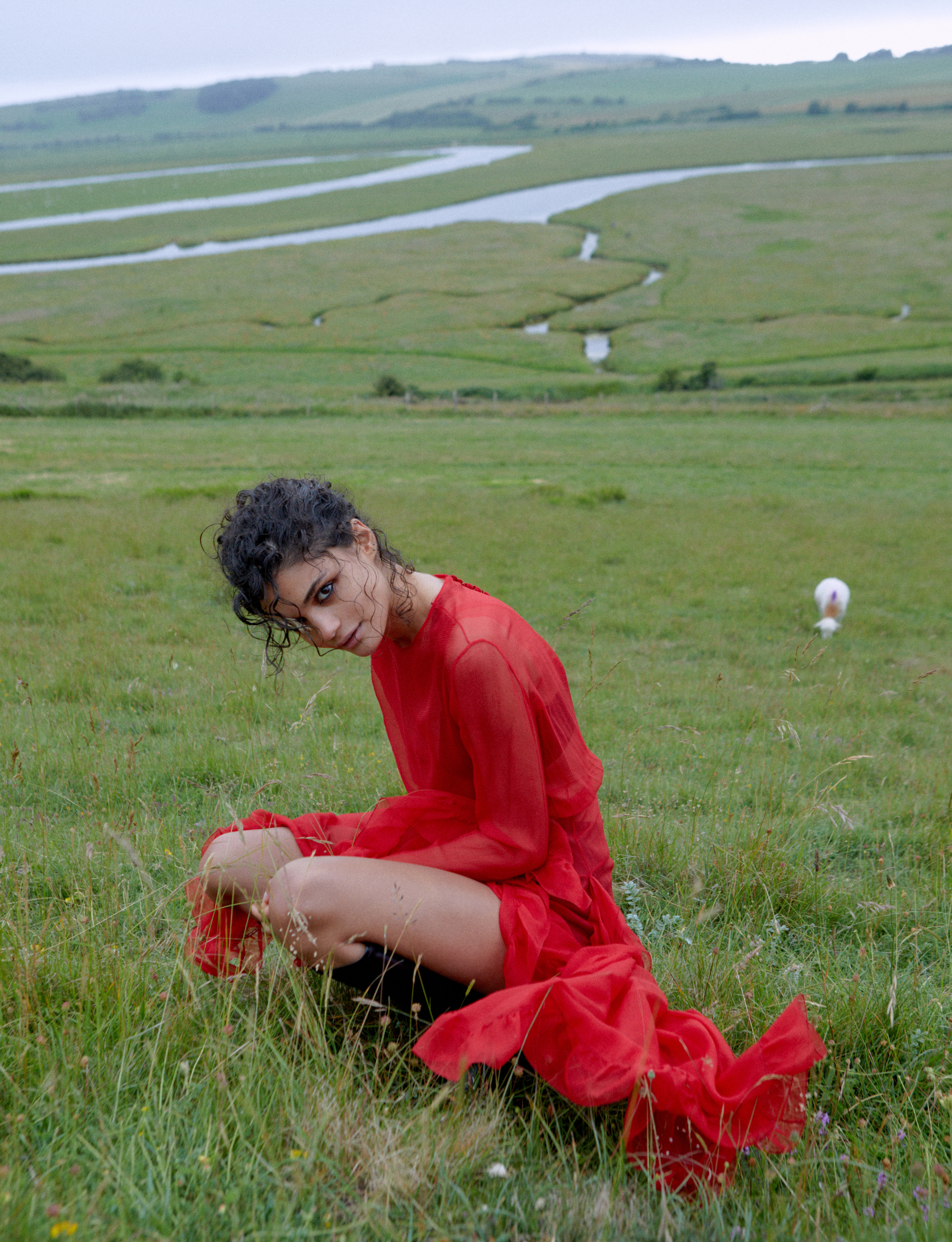 Our Philosophy Another Species